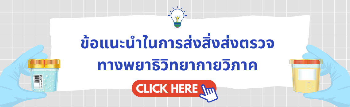 https://www.canva.com/design/DAGcblYGPPg/XGimp8C9kFYbMCFd1pj08w/view?utm_content=DAGcblYGPPg&utm_campaign=designshare&utm_medium=link2&utm_source=uniquelinks&utlId=ha2aab2eb10